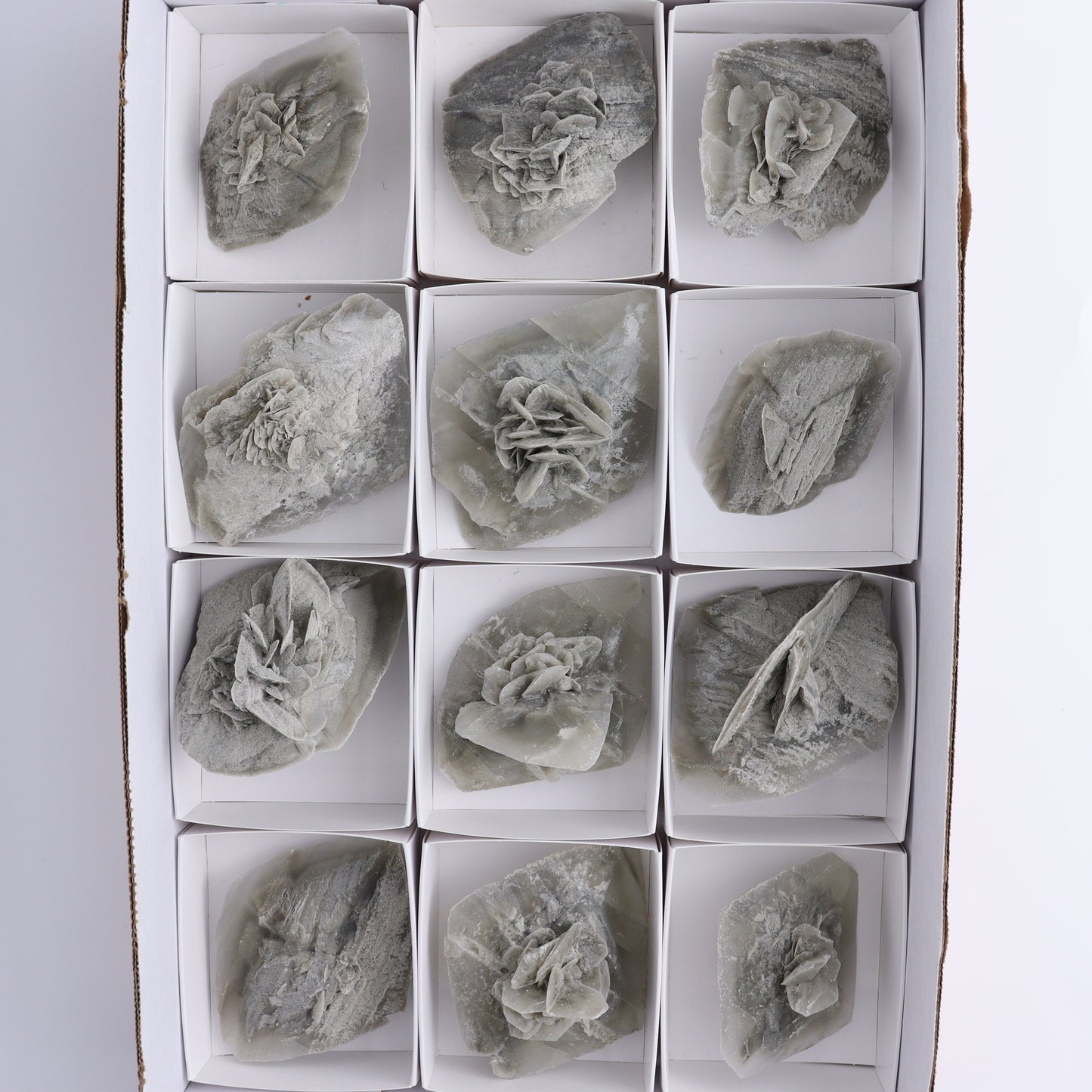 Selenite Clusters Set of 12 - Expert Wholesale and Supplier of Wholesale Crystals & Bulk Gemstones, ["Clusters","selenite"]