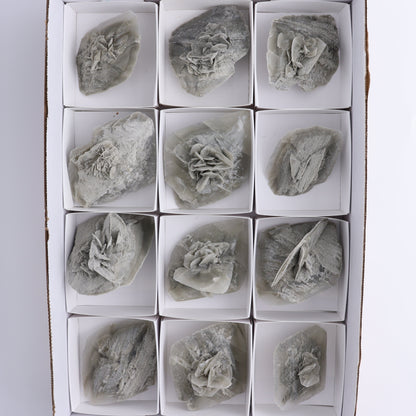 Selenite Clusters Set of 12 - Expert Wholesale and Supplier of Wholesale Crystals & Bulk Gemstones, ["Clusters","selenite"]