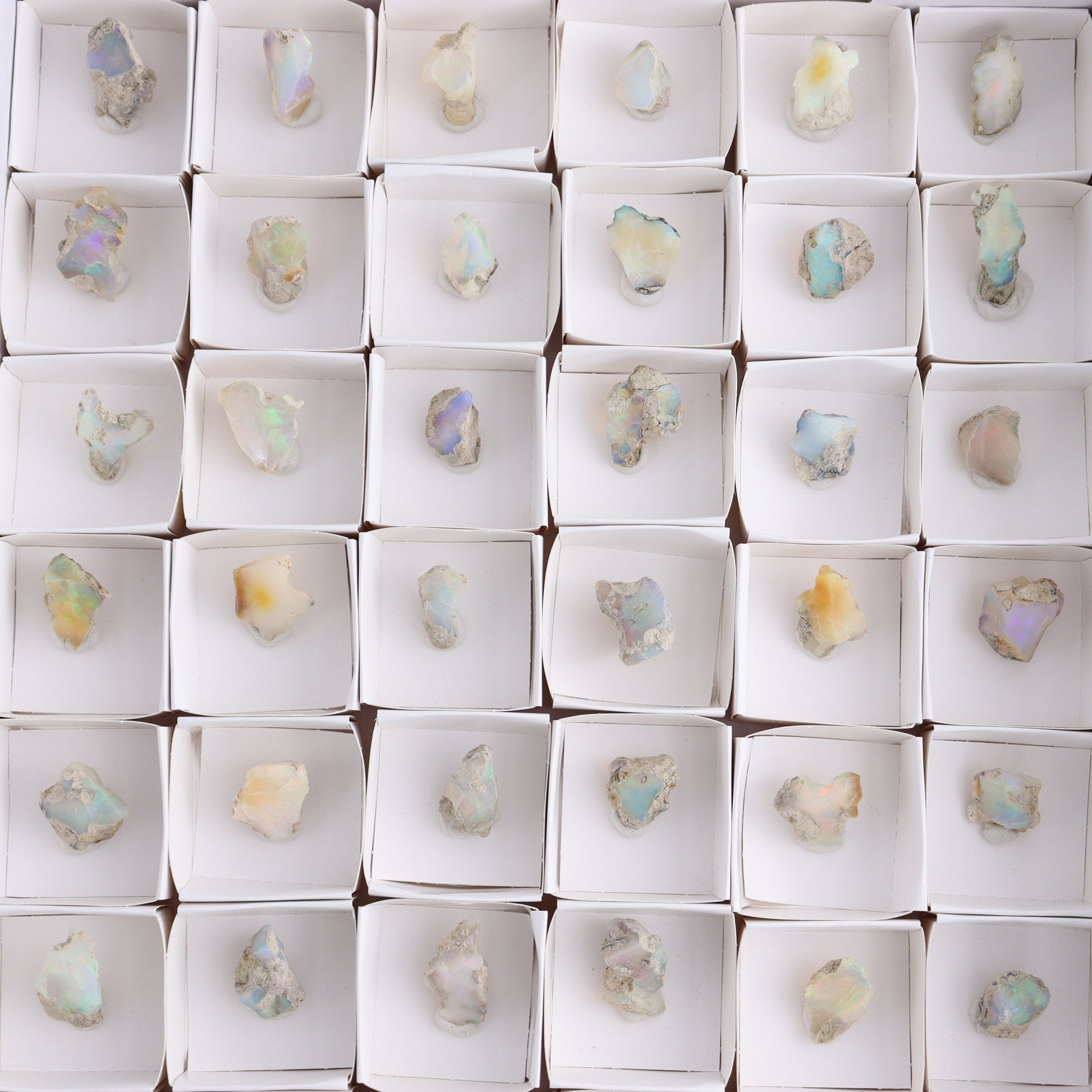 Ethiopian Opal Set of 54 - Expert Wholesale and Supplier of Wholesale Crystals & Bulk Gemstones, ["Ethiopia","ethiopian opal","Opal"]