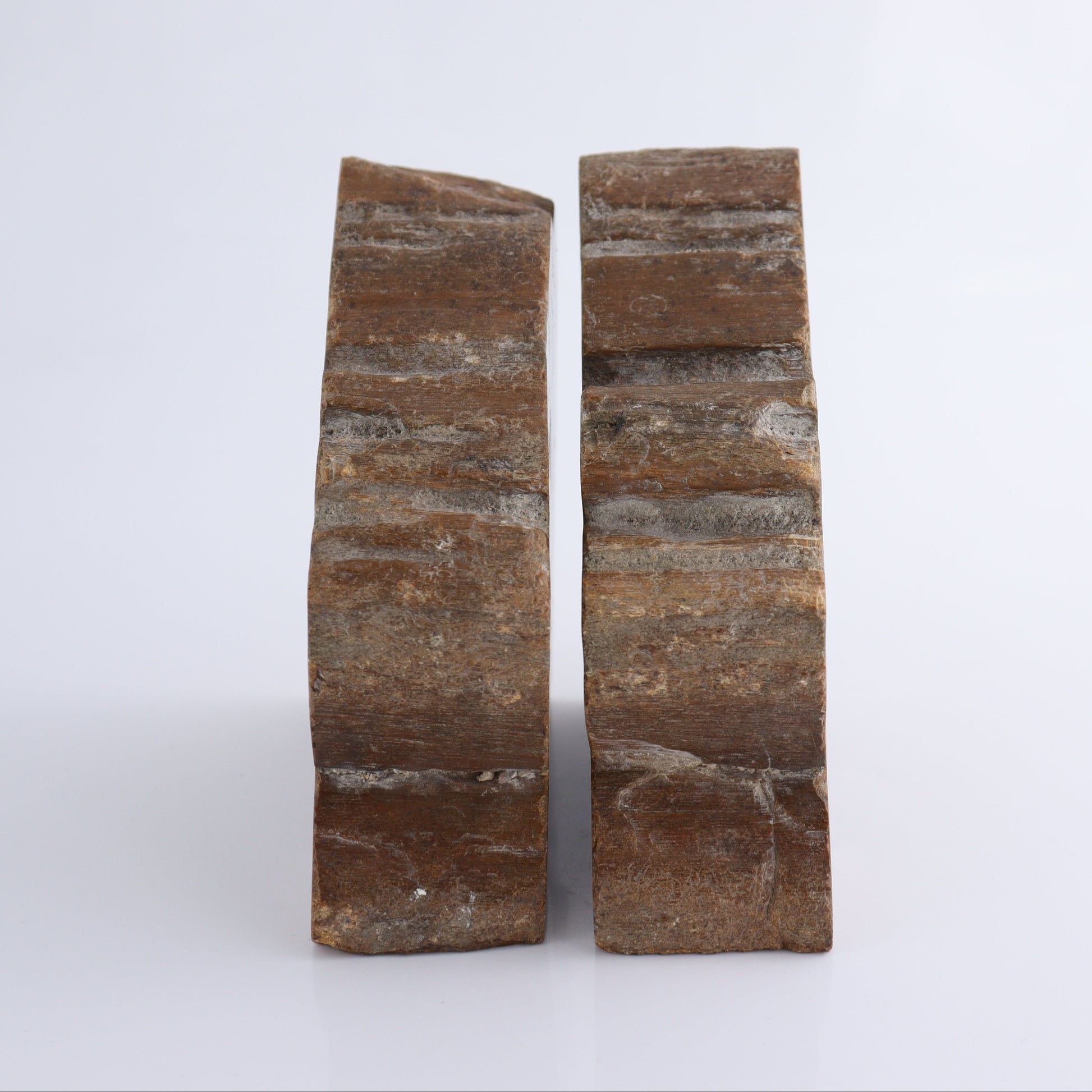 Bookends Petrified Wood - Expert Wholesale and Supplier of Wholesale Crystals & Bulk Gemstones, ["Bookends","Indonesia","Petrified Wood"]