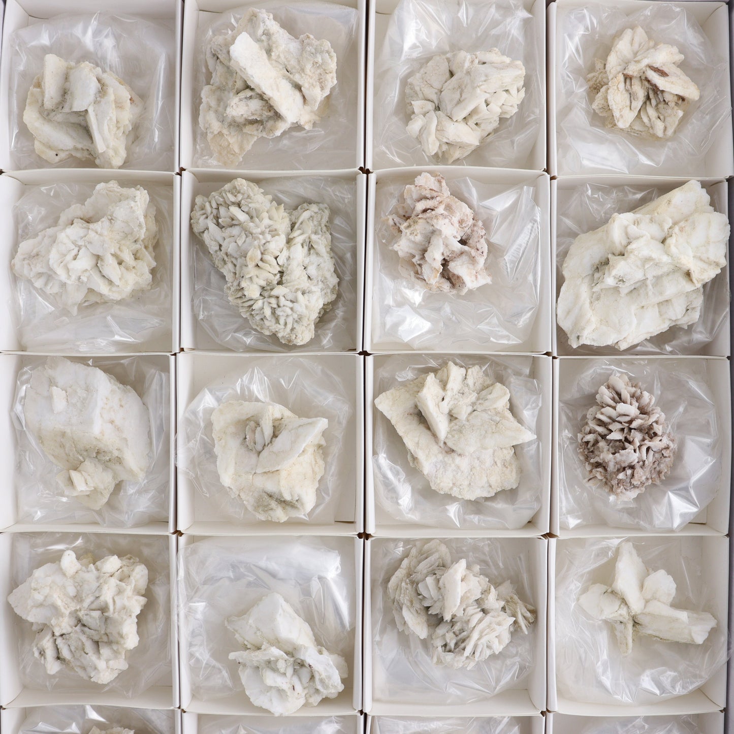 Gypsum ps. Glauberite from Camp Verde Set of 24 - Expert Wholesale and Supplier of Wholesale Crystals & Bulk Gemstones, ["Arizona","Glauberite","Gypsum","Gypsum ps Glauberite","United States"]