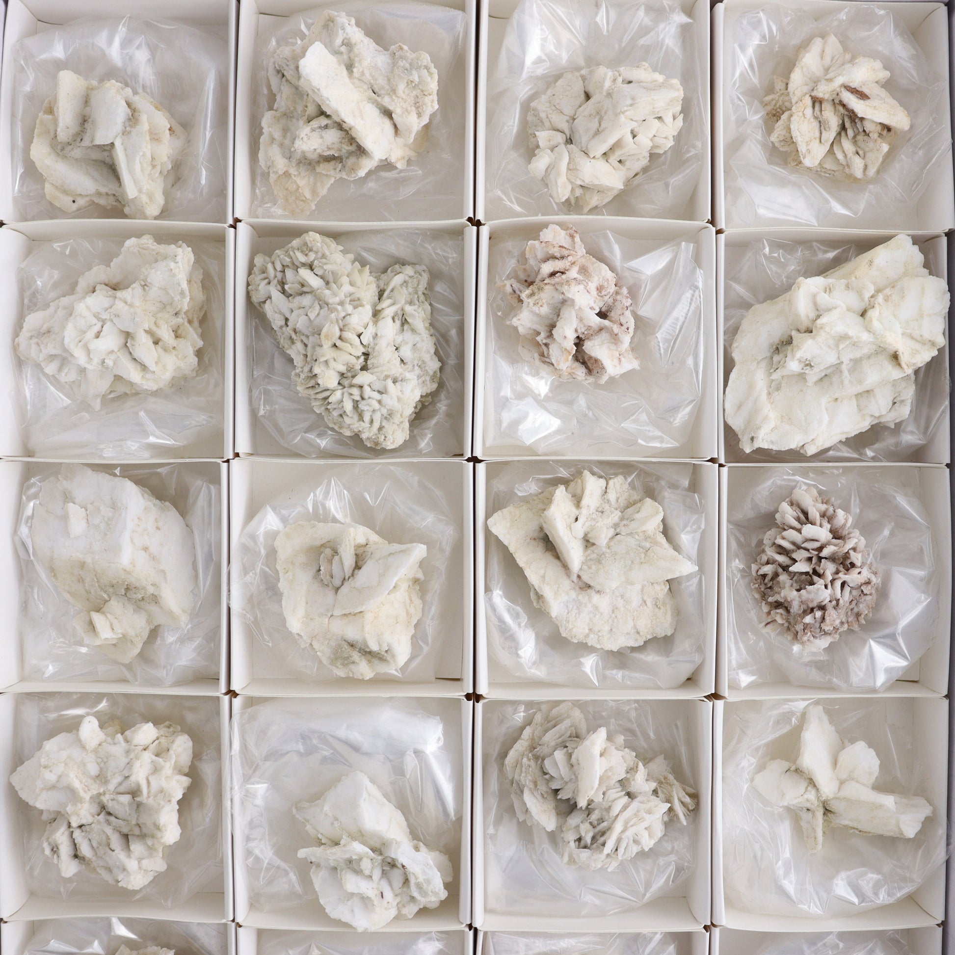 Gypsum ps. Glauberite from Camp Verde Set of 24 - Expert Wholesale and Supplier of Wholesale Crystals & Bulk Gemstones, ["Arizona","Glauberite","Gypsum","Gypsum ps Glauberite","United States"]