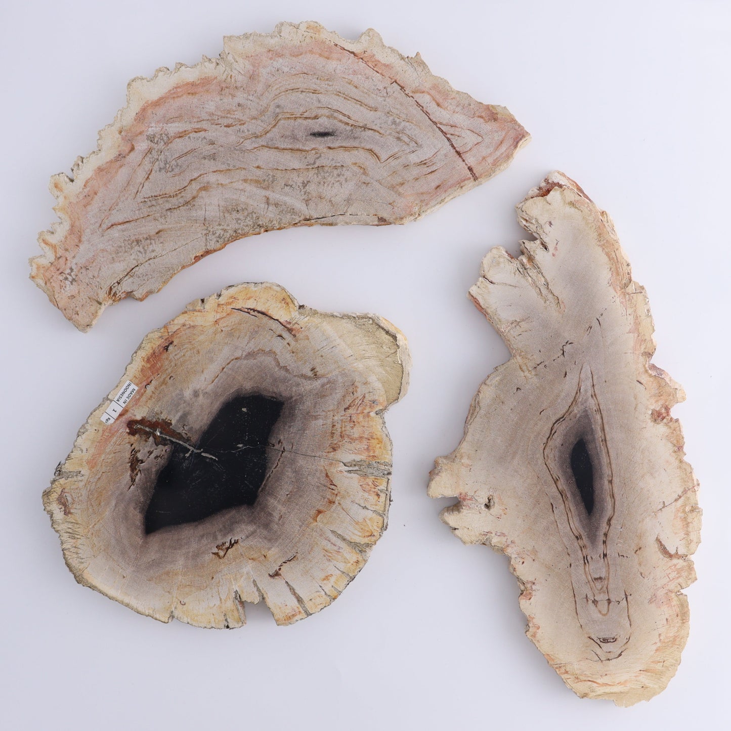 Petrified Wood Slices & Slabs Set of 3 - Expert Wholesale and Supplier of Wholesale Crystals & Bulk Gemstones, ["Freeforms","Indonesia","Petrified Wood","Slices and Slabs"]