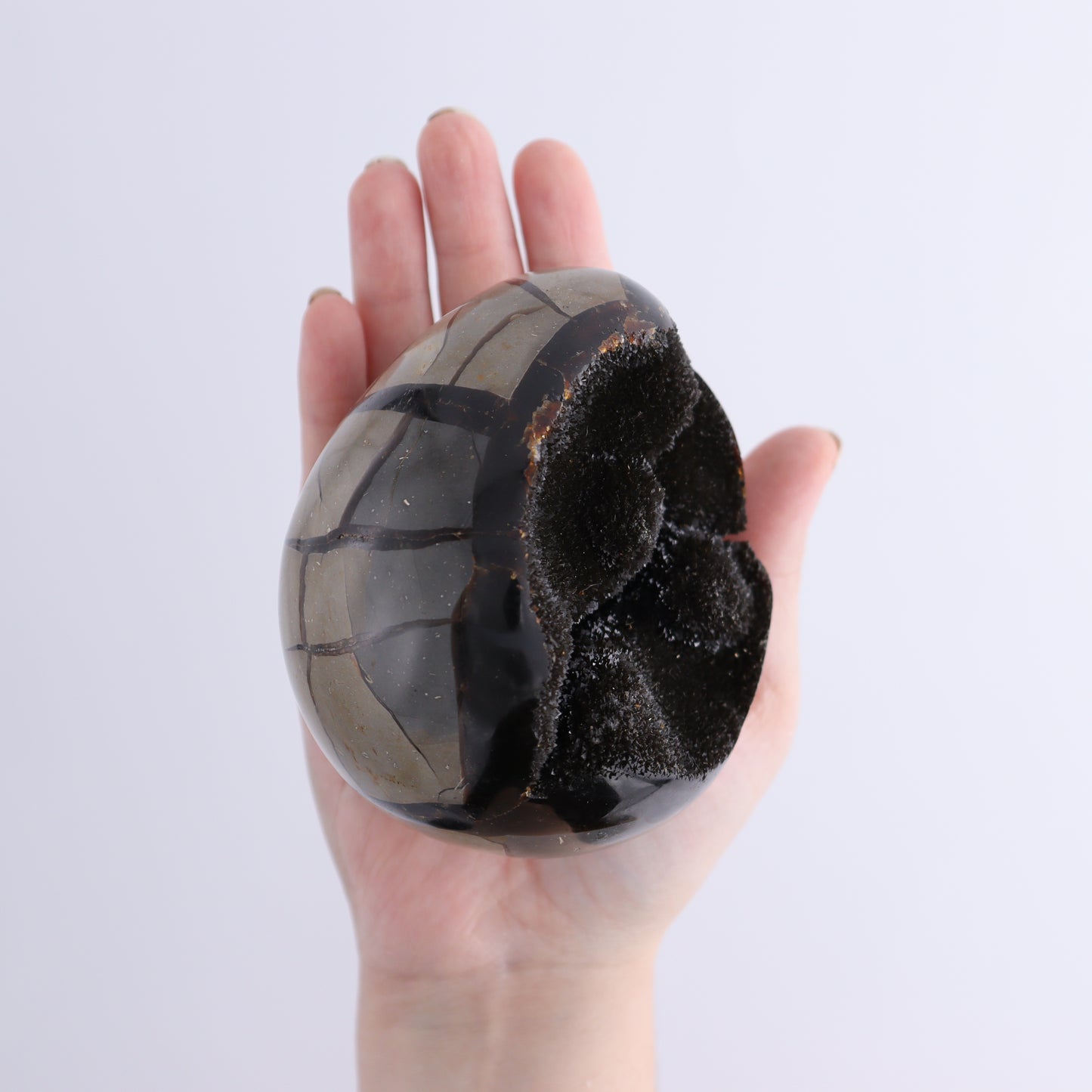 Septarian Eggs Set of 3 - Expert Wholesale and Supplier of Wholesale Crystals & Bulk Gemstones, ["Eggs","Septarian"]