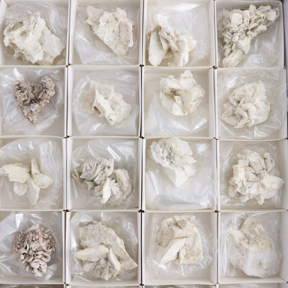 Gypsum ps. Glauberite from Camp Verde Set of 24 - Expert Wholesale and Supplier of Wholesale Crystals & Bulk Gemstones, ["Arizona","Glauberite","Gypsum","Gypsum ps Glauberite","United States"]