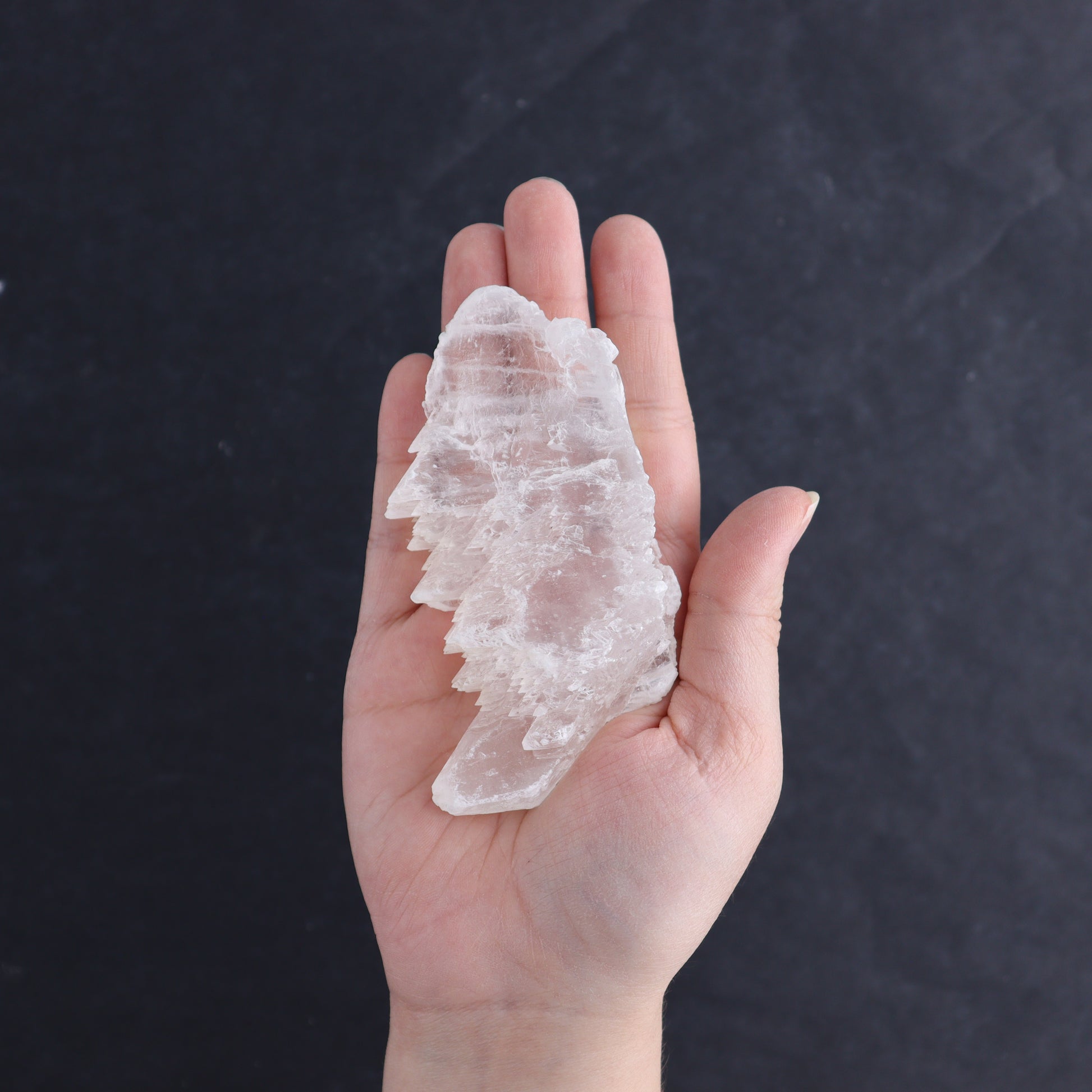 Selenite Set of 12 - Expert Wholesale and Supplier of Wholesale Crystals & Bulk Gemstones, ["Rough","selenite"]