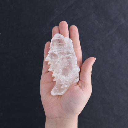 Selenite Set of 12 - Expert Wholesale and Supplier of Wholesale Crystals & Bulk Gemstones, ["Rough","selenite"]
