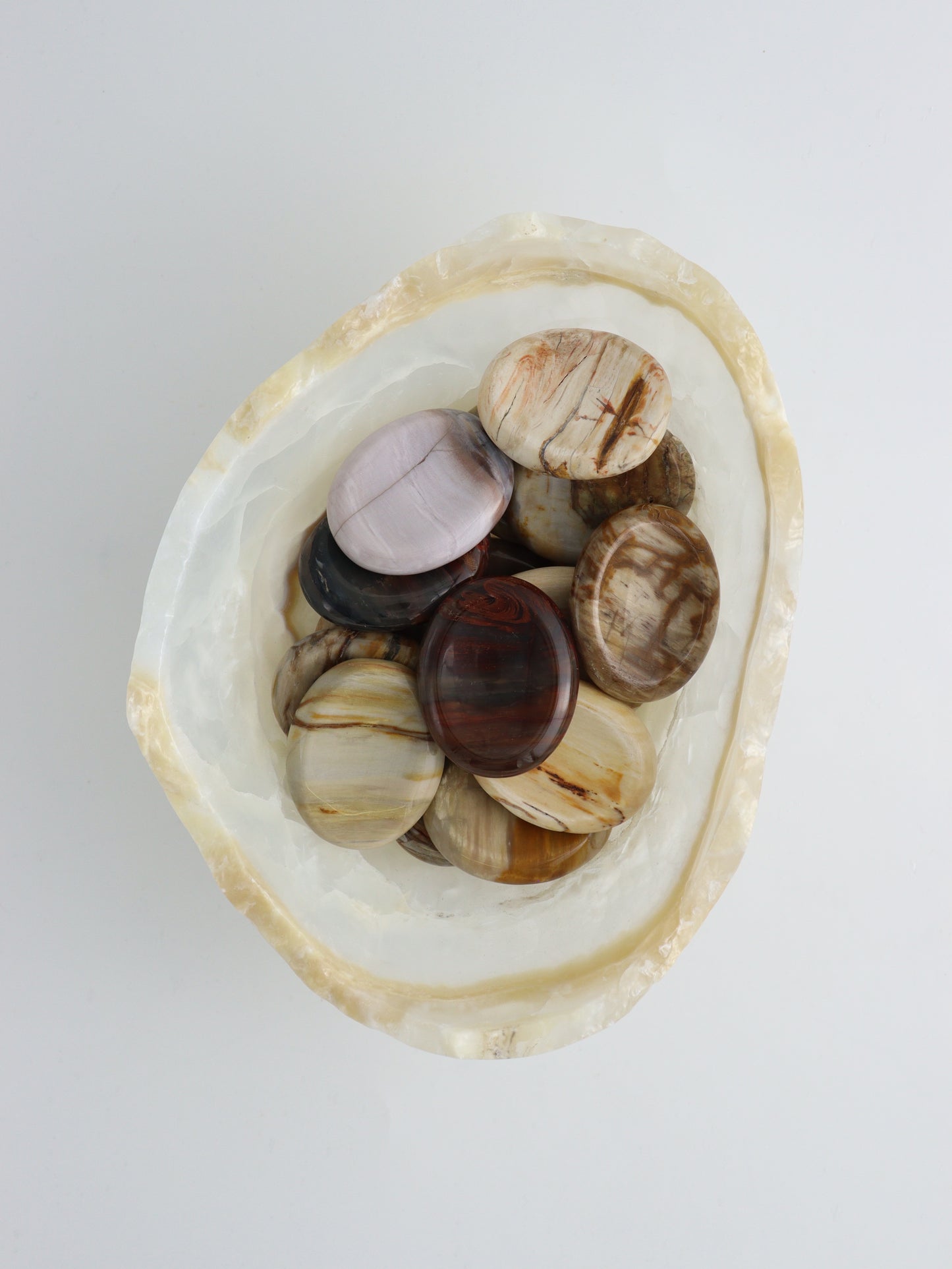 1/2kg Petrified Wood Worry Stones - Expert Supplier of Wholesale Crystals & Bulk Gemstones