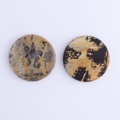Picture Jasper Discs Set of 10
