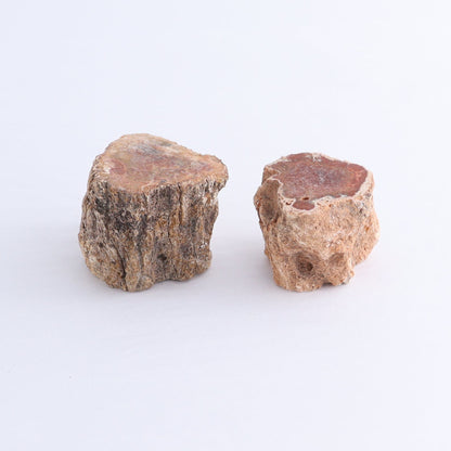 Petrified Wood Cut Bases Set of 10 - Expert Wholesale and Supplier of Wholesale Crystals & Bulk Gemstones, ["Cut Base","Petrified Wood"]