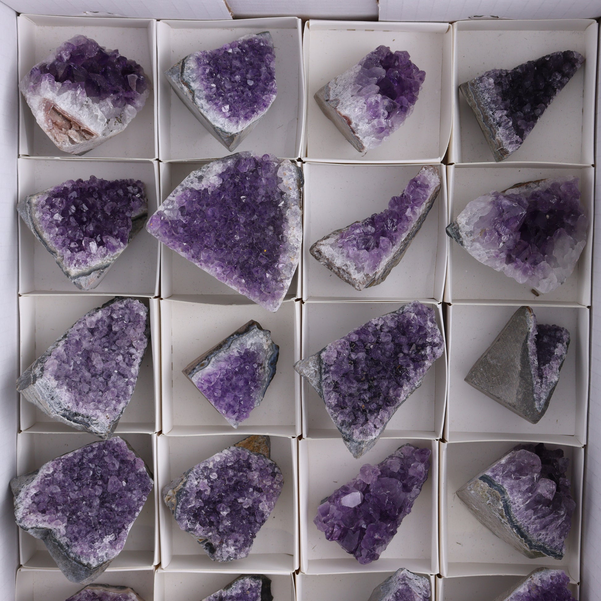 Amethyst Cut Base Set of 24 - Expert Wholesale and Supplier of Wholesale Crystals & Bulk Gemstones, ["Amethyst","Cut Base"]