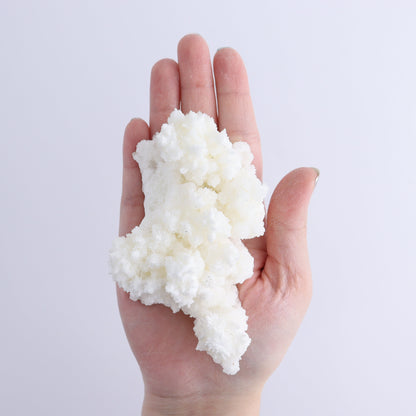 Aragonite Clusters Set of 12 - Expert Wholesale and Supplier of Wholesale Crystals & Bulk Gemstones, ["aragonite","Clusters","Freeforms","Mexico"]