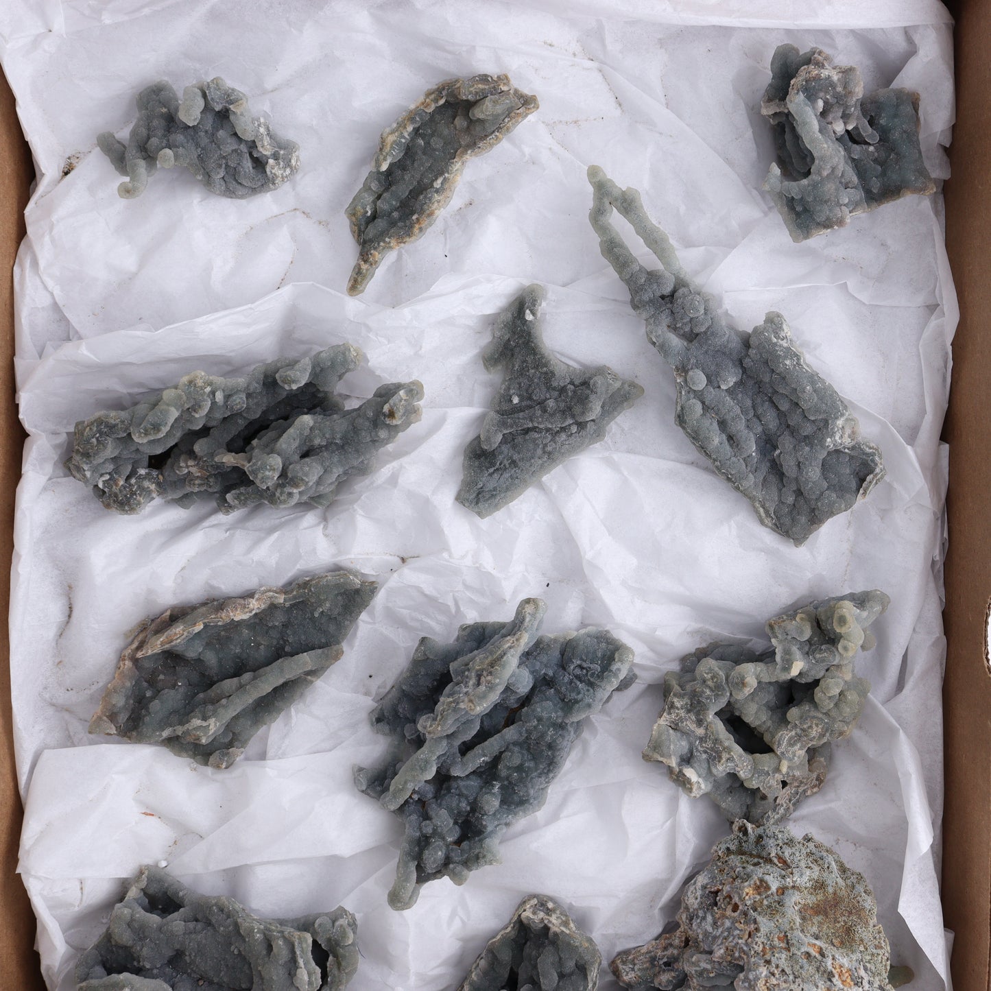 Chalcedony Flat of 12 - Expert Wholesale and Supplier of Wholesale Crystals & Bulk Gemstones, ["Chalcedony","Flats"]