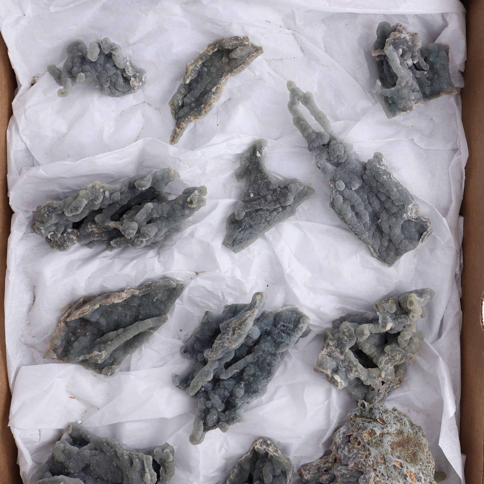 Chalcedony Flat of 12 - Expert Wholesale and Supplier of Wholesale Crystals & Bulk Gemstones, ["Chalcedony","Flats"]