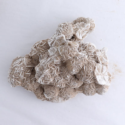 Desert Rose Flat