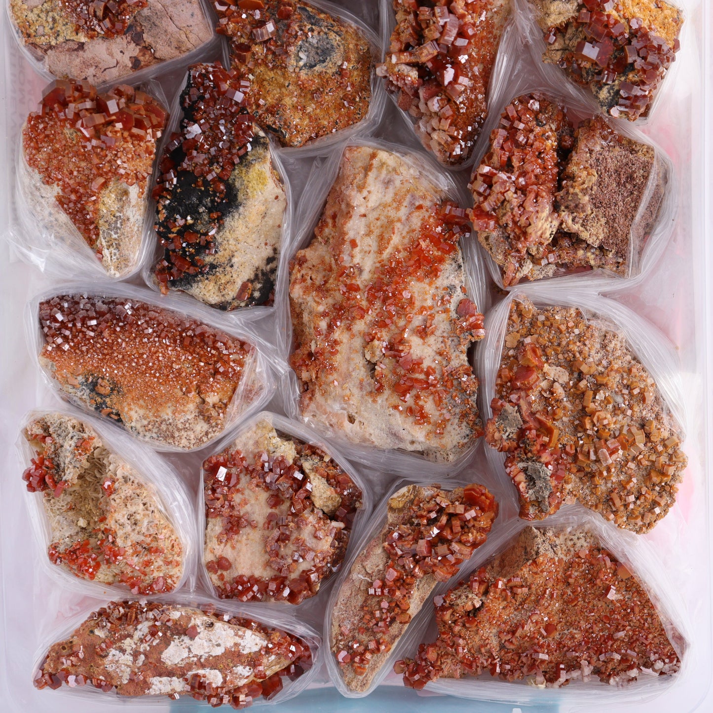 Vanadinite on Barite Flat from Morocco - Expert Wholesale and Supplier of Wholesale Crystals & Bulk Gemstones, ["Barite","Flats","Morocco","Vanadinite","Vanadinite Barite"]