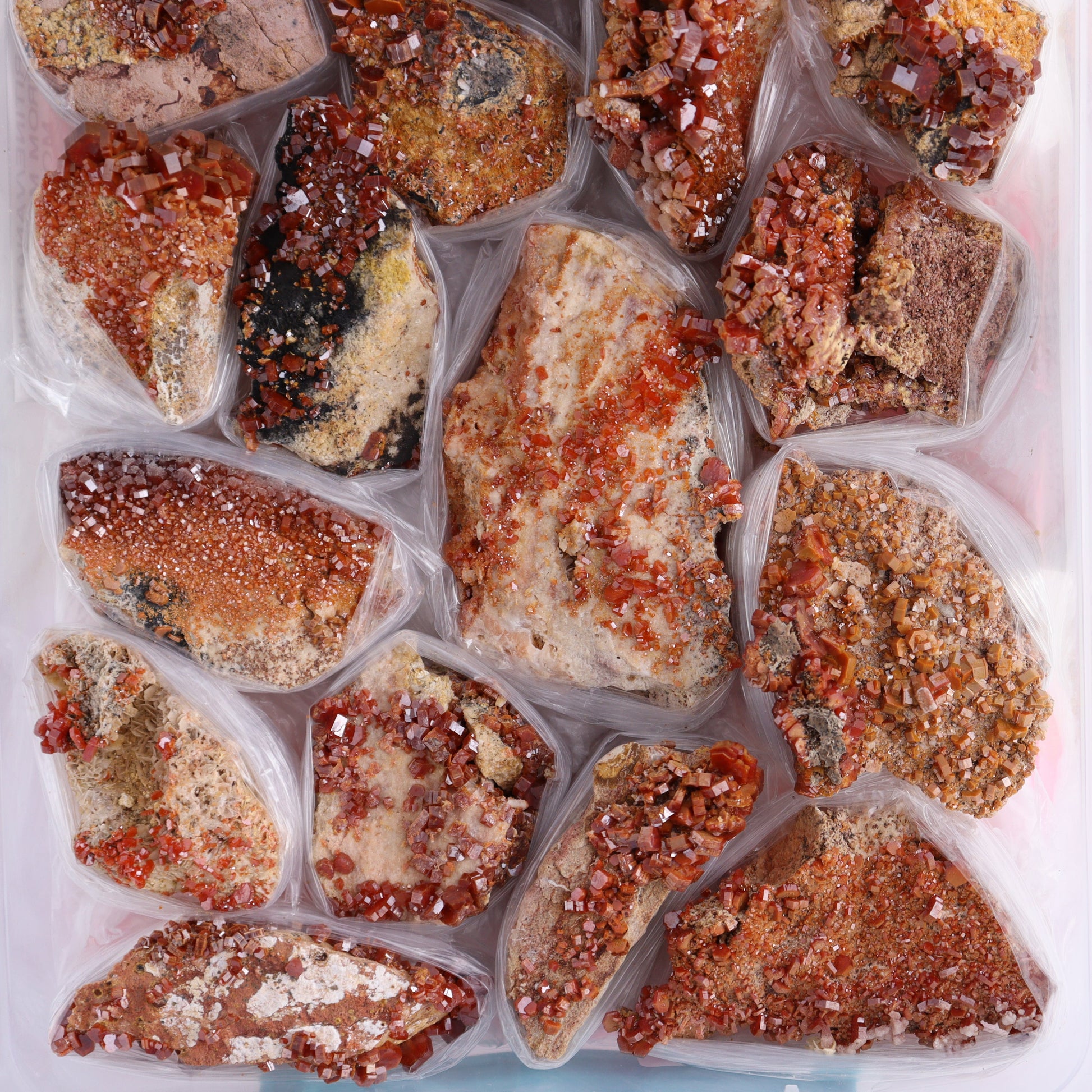 Vanadinite on Barite Flat from Morocco - Expert Wholesale and Supplier of Wholesale Crystals & Bulk Gemstones, ["Barite","Flats","Morocco","Vanadinite","Vanadinite Barite"]