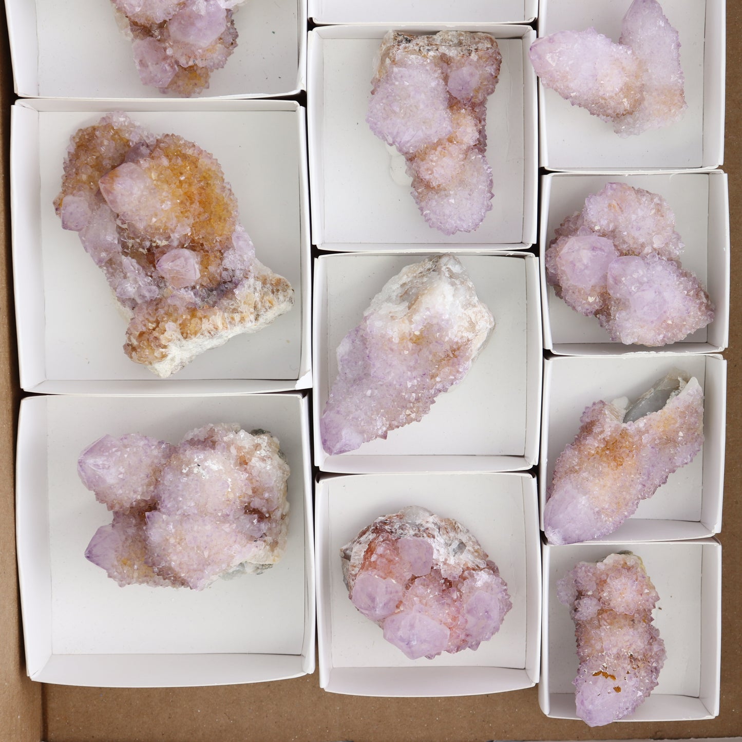 Cactus Quartz Set of 12