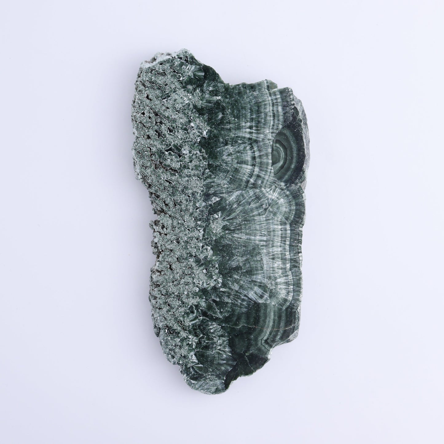 Seraphinite Slices Set of 3 - Expert Wholesale and Supplier of Wholesale Crystals & Bulk Gemstones, ["Russia","Seraphinite","Slices and Slabs"]