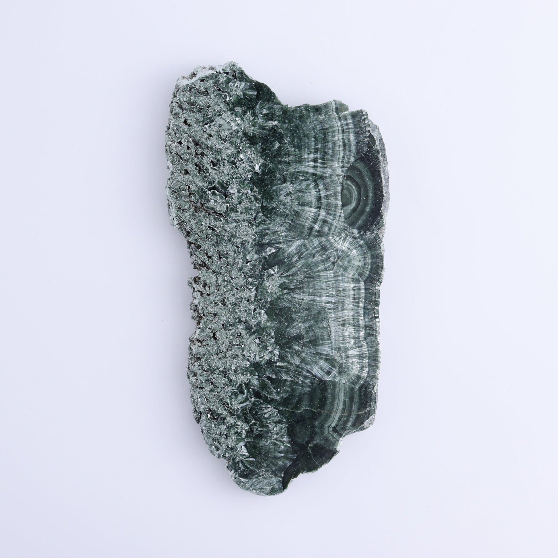 Seraphinite Slices Set of 3 - Expert Wholesale and Supplier of Wholesale Crystals & Bulk Gemstones, ["Russia","Seraphinite","Slices and Slabs"]