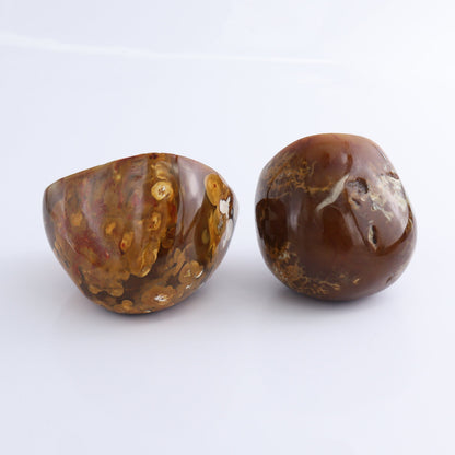 Carnelian Geodes Set of 2 - Expert Wholesale and Supplier of Wholesale Crystals & Bulk Gemstones, ["carnelian","Geodes","Madagascar"]