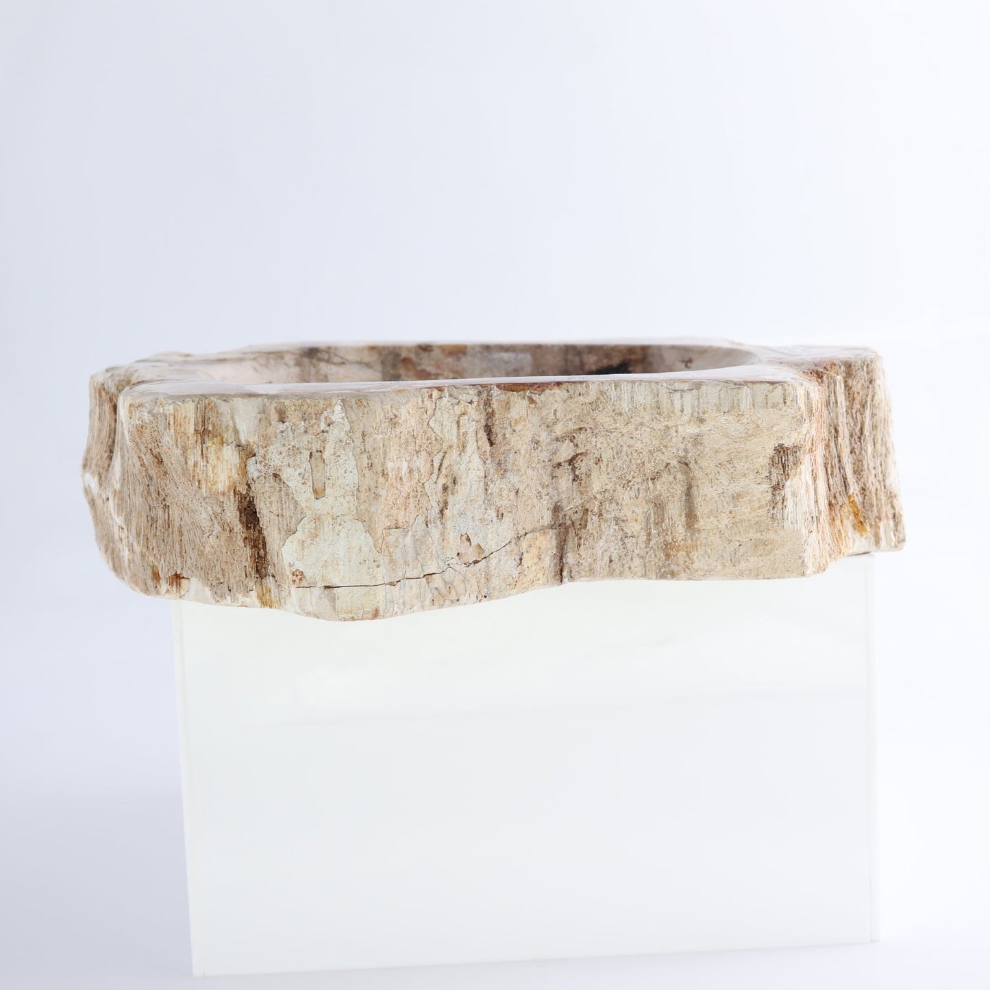 One Petrified Wood Beige Rough Bowl