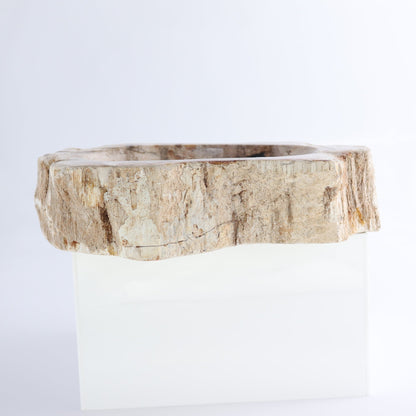 One Petrified Wood Beige Rough Bowl