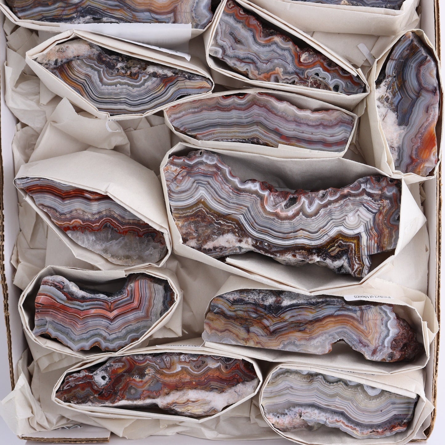 Crazy Lace Agate Flat of 14 - Expert Wholesale and Supplier of Wholesale Crystals & Bulk Gemstones, ["Crazy Lace Agate","Mexico"]