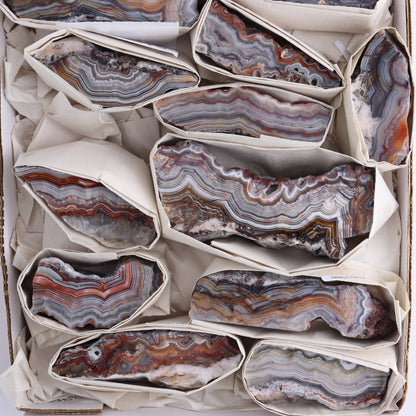 Crazy Lace Agate Flat of 14 - Expert Wholesale and Supplier of Wholesale Crystals & Bulk Gemstones, ["Crazy Lace Agate","Mexico"]