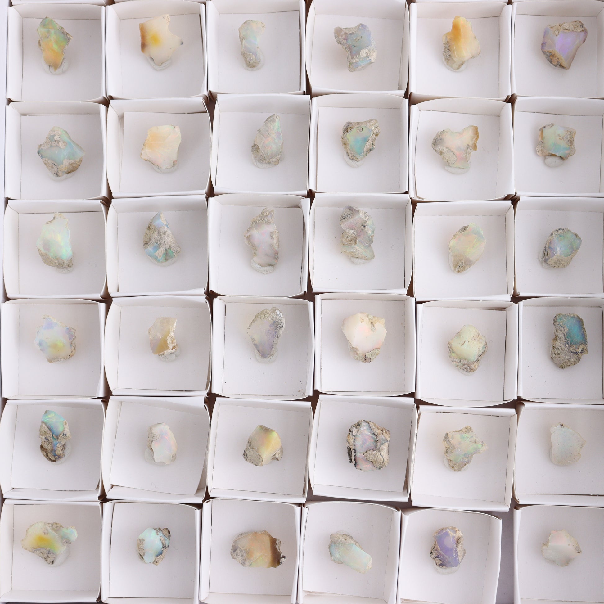 Ethiopian Opal Set of 54 - Expert Wholesale and Supplier of Wholesale Crystals & Bulk Gemstones, ["Ethiopia","ethiopian opal","Opal"]