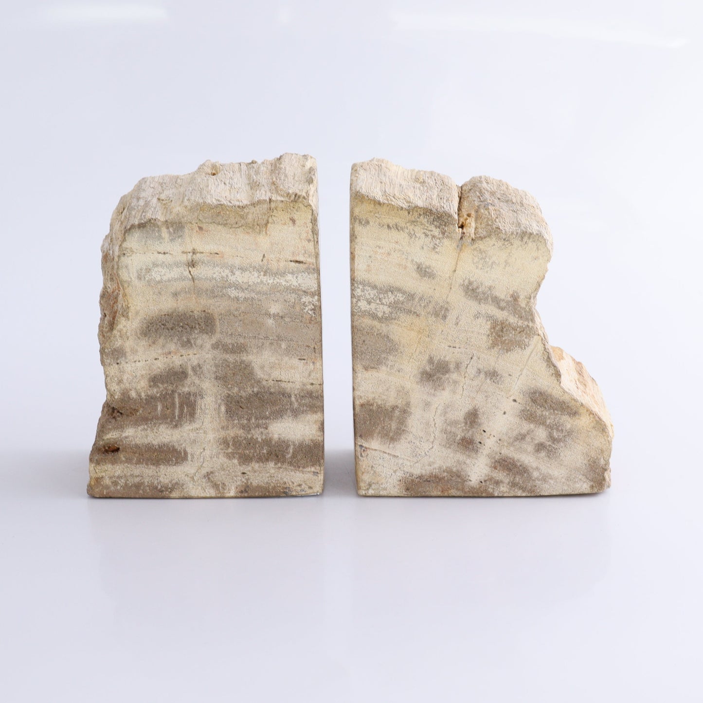 One Pair of Brown/Grey Round Petrified Wood Bookends - Expert Wholesale and Supplier of Wholesale Crystals & Bulk Gemstones, ["Bookends","Indonesia","Petrified Wood"]