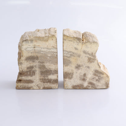 One Pair of Brown/Grey Round Petrified Wood Bookends - Expert Wholesale and Supplier of Wholesale Crystals & Bulk Gemstones, ["Bookends","Indonesia","Petrified Wood"]