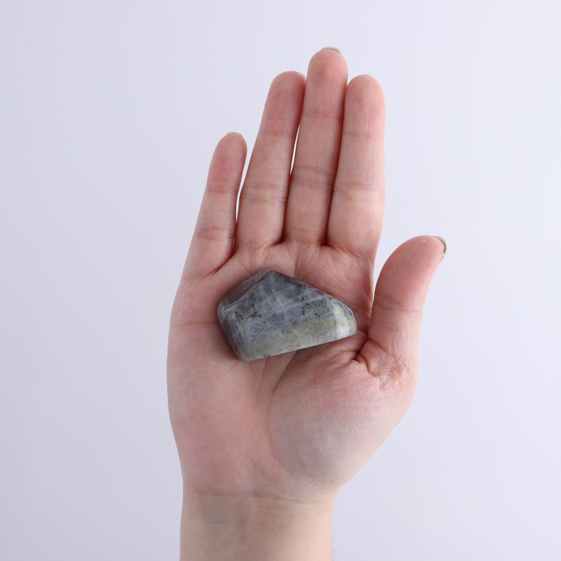 Labradorite Freeform Set of 6 - Expert Wholesale and Supplier of Wholesale Crystals & Bulk Gemstones, ["Freeforms","Labradorite","Madagascar"]