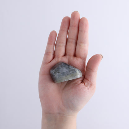 Labradorite Freeform Set of 6 - Expert Wholesale and Supplier of Wholesale Crystals & Bulk Gemstones, ["Freeforms","Labradorite","Madagascar"]