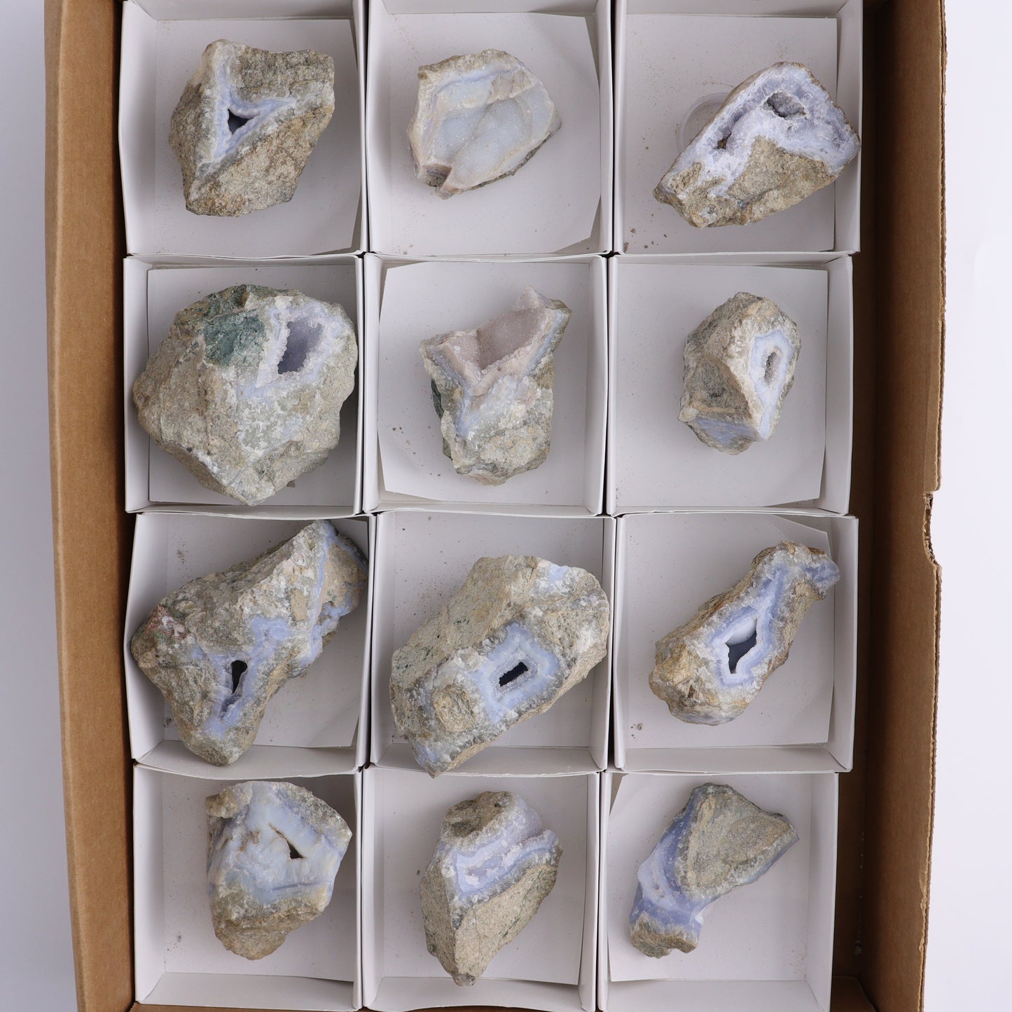 Blue Lace Agate Freeforms Set of 12