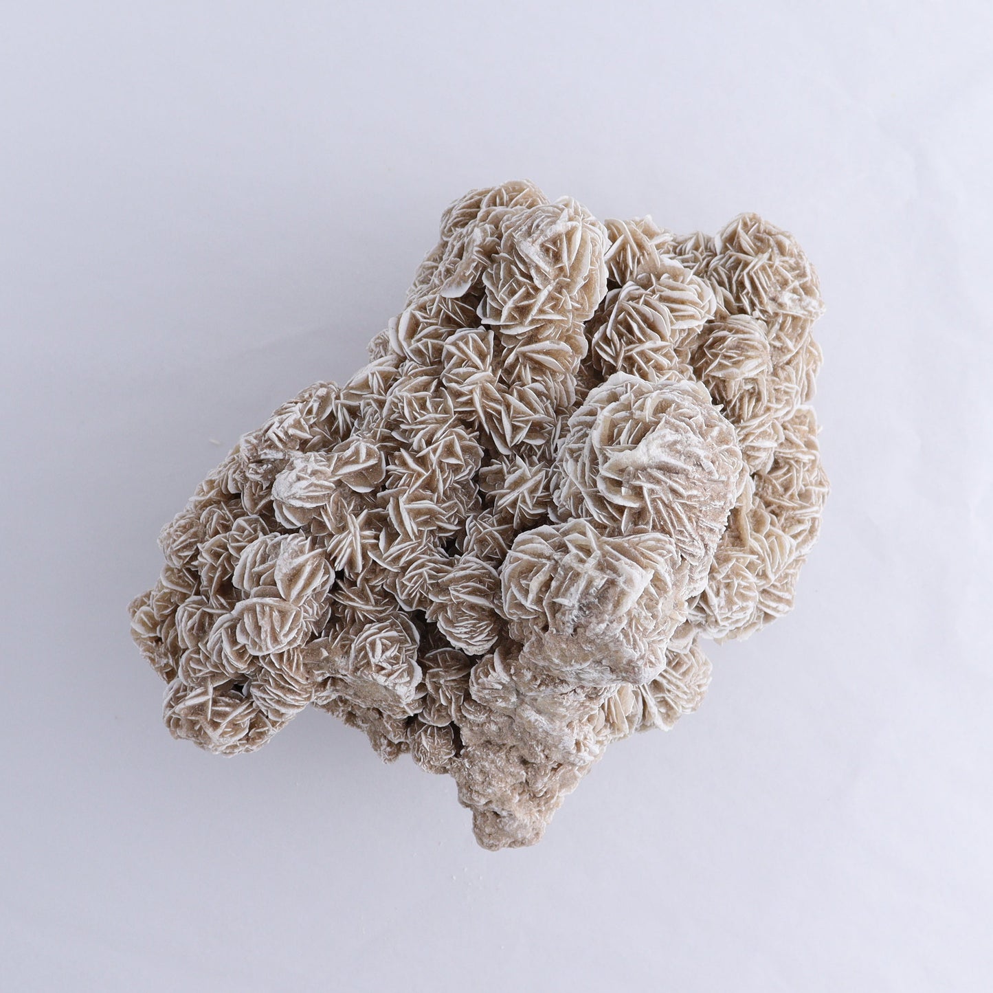 Desert Rose Cluster - Expert Wholesale and Supplier of Wholesale Crystals & Bulk Gemstones, ["Desert Rose","Freeforms"]
