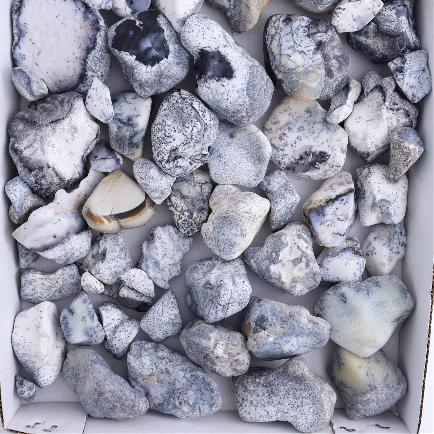 Denditic Agate Freeforms Flat - Expert Wholesale and Supplier of Wholesale Crystals & Bulk Gemstones, ["close_70","Denditic Agate","Freeform","Freeforms"]