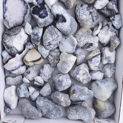 Denditic Agate Freeforms Flat - Expert Wholesale and Supplier of Wholesale Crystals & Bulk Gemstones, ["close_70","Denditic Agate","Freeform","Freeforms"]