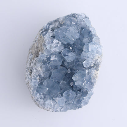 Celestite Clusters Set of 4 - Expert Wholesale and Supplier of Wholesale Crystals & Bulk Gemstones, ["Celestite","Freeform"]
