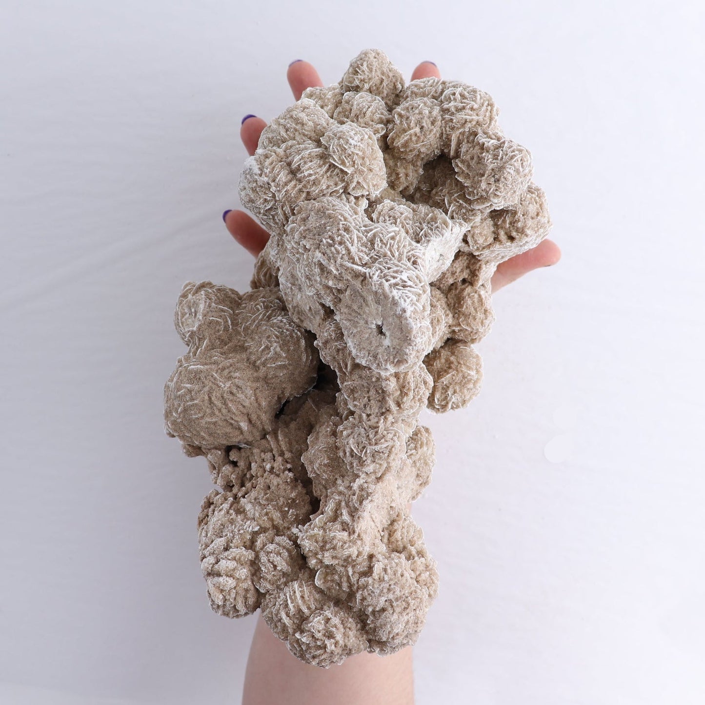 Desert Rose Set of 2