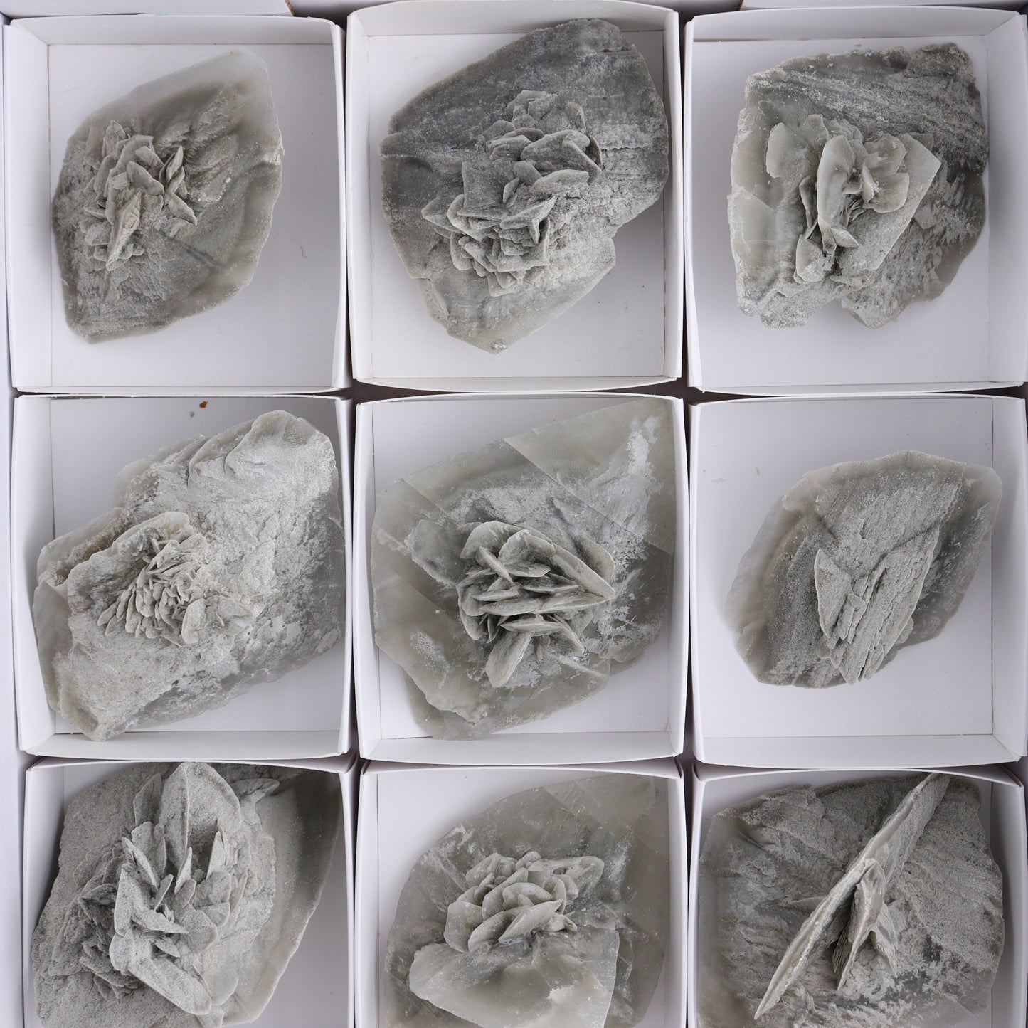 Selenite Clusters Set of 12 - Expert Wholesale and Supplier of Wholesale Crystals & Bulk Gemstones, ["Clusters","selenite"]