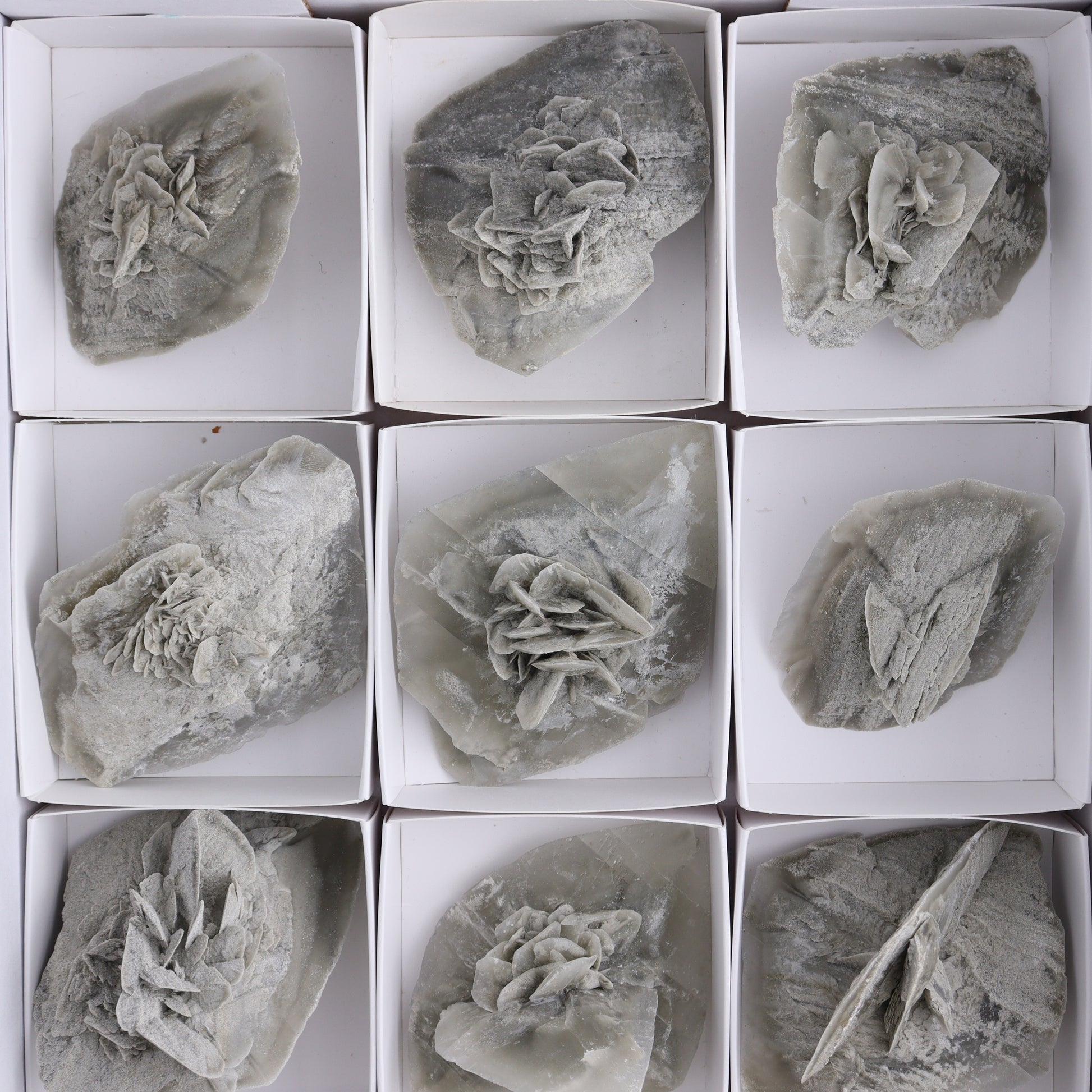 Selenite Clusters Set of 12 - Expert Wholesale and Supplier of Wholesale Crystals & Bulk Gemstones, ["Clusters","selenite"]
