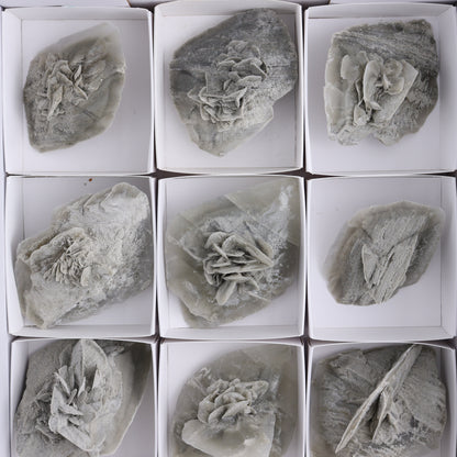 Selenite Clusters Set of 12 - Expert Wholesale and Supplier of Wholesale Crystals & Bulk Gemstones, ["Clusters","selenite"]