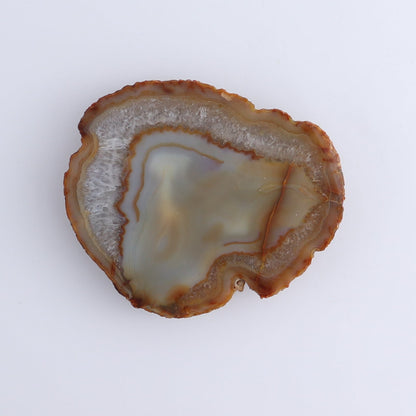 Agate Slices Set of 8 - Expert Wholesale and Supplier of Wholesale Crystals & Bulk Gemstones, ["Agate","Brazil","Slices and Slabs"]