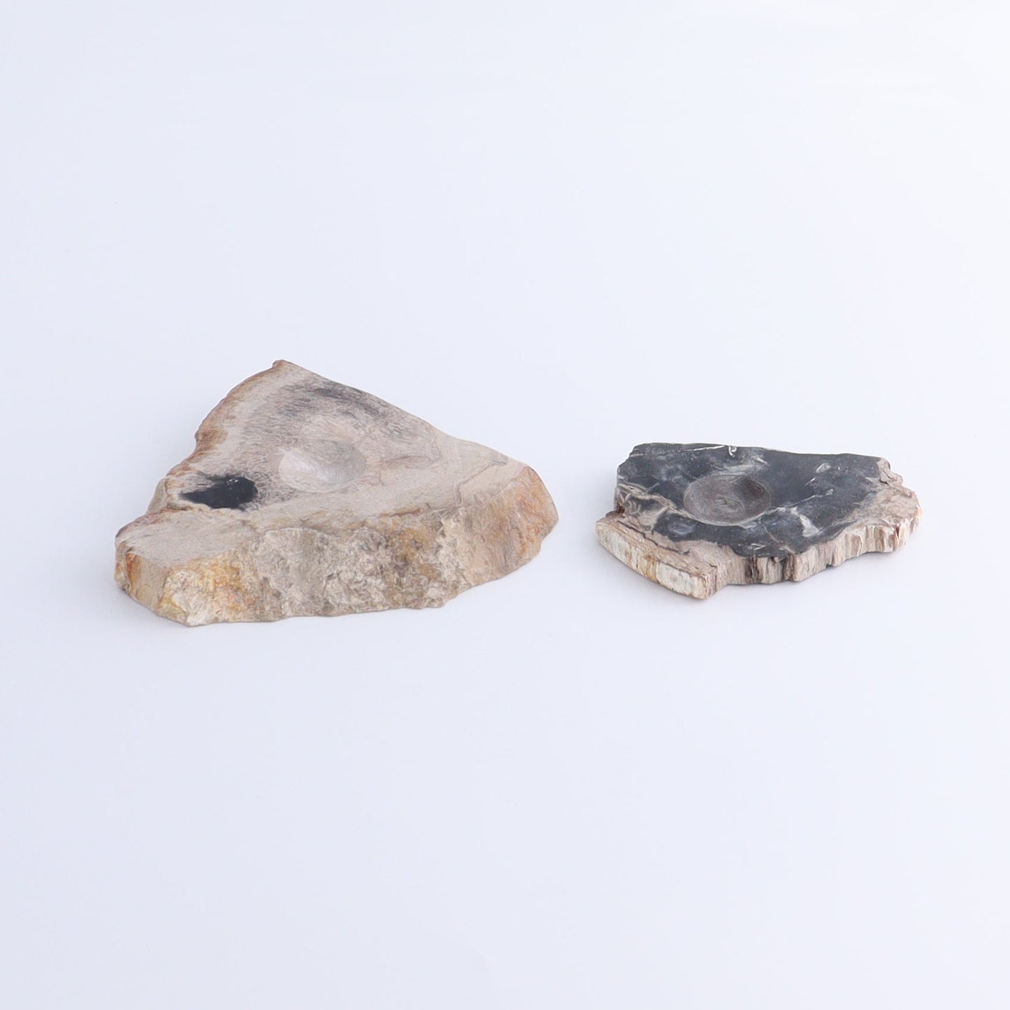 Petrified Wood Sphere Holders Set of 5 - Expert Wholesale and Supplier of Wholesale Crystals & Bulk Gemstones, ["Petrified Wood","sphere holder"]