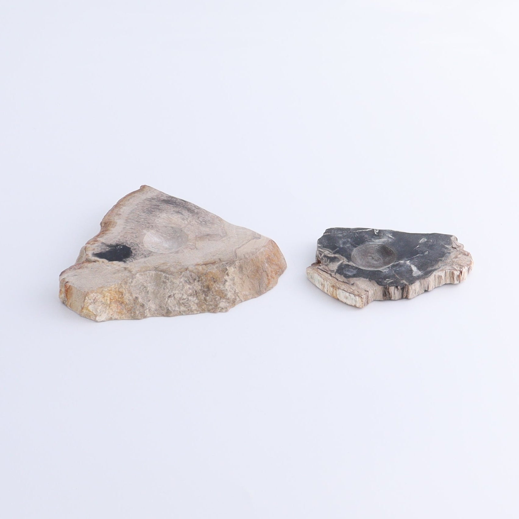 Petrified Wood Sphere Holders Set of 5 - Expert Wholesale and Supplier of Wholesale Crystals & Bulk Gemstones, ["Petrified Wood","sphere holder"]