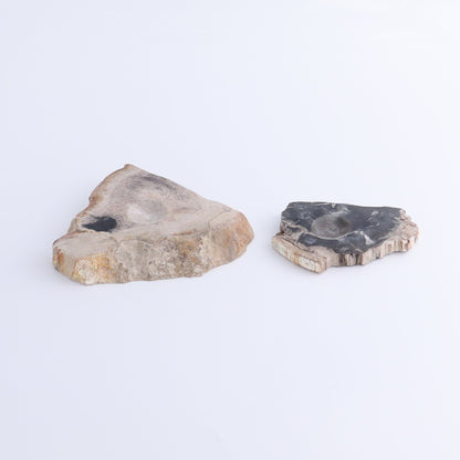 Petrified Wood Sphere Holders Set of 5 - Expert Wholesale and Supplier of Wholesale Crystals & Bulk Gemstones, ["Petrified Wood","sphere holder"]