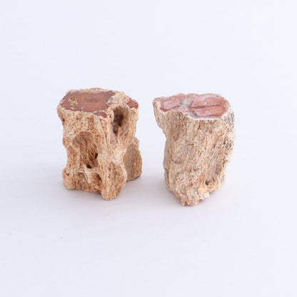 Petrified Wood Cut Bases Set of 10 - Expert Wholesale and Supplier of Wholesale Crystals & Bulk Gemstones, ["Cut Base","Petrified Wood"]