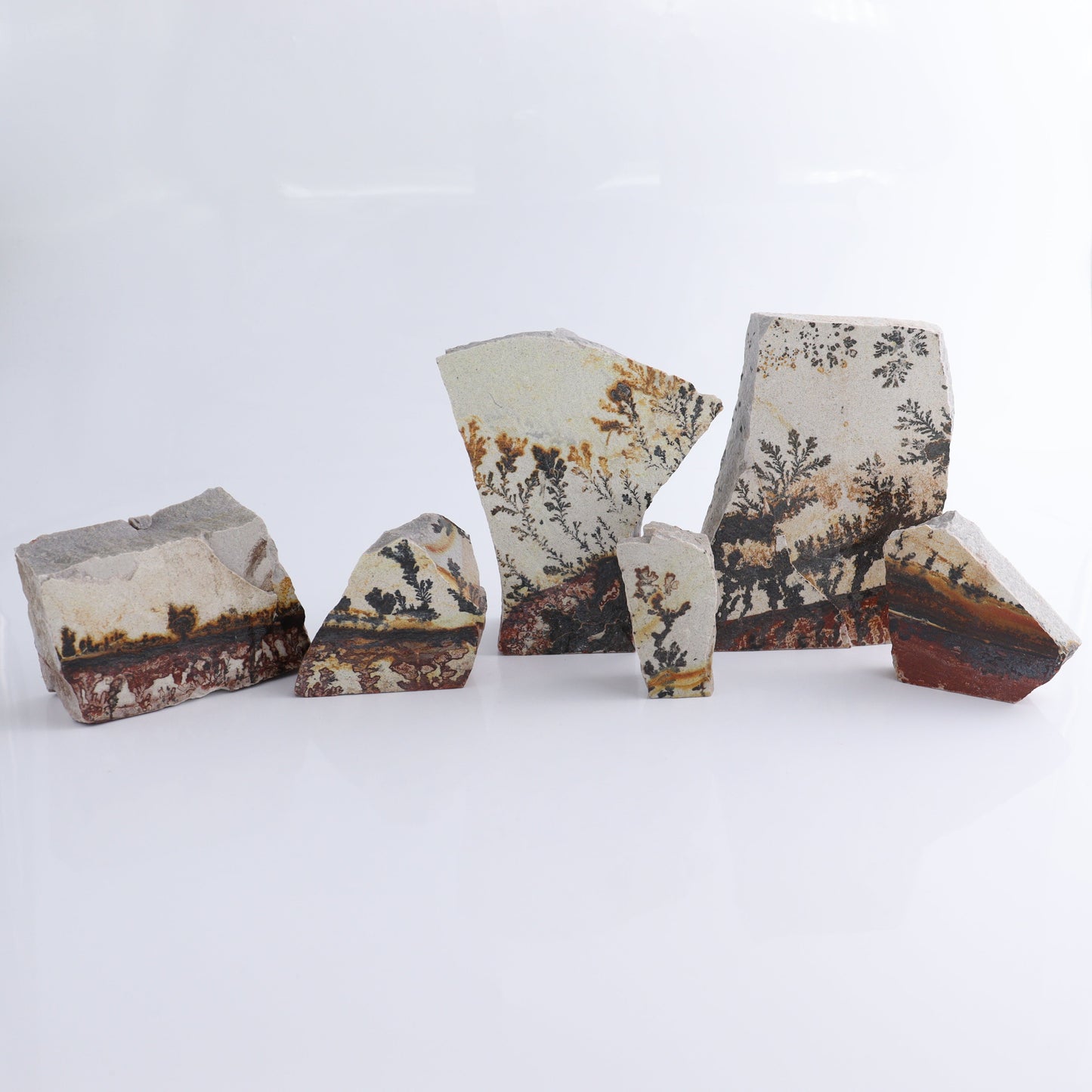 Dendrites Flat Set of 6 - Expert Wholesale and Supplier of Wholesale Crystals & Bulk Gemstones, ["Dendrite","Flats"]