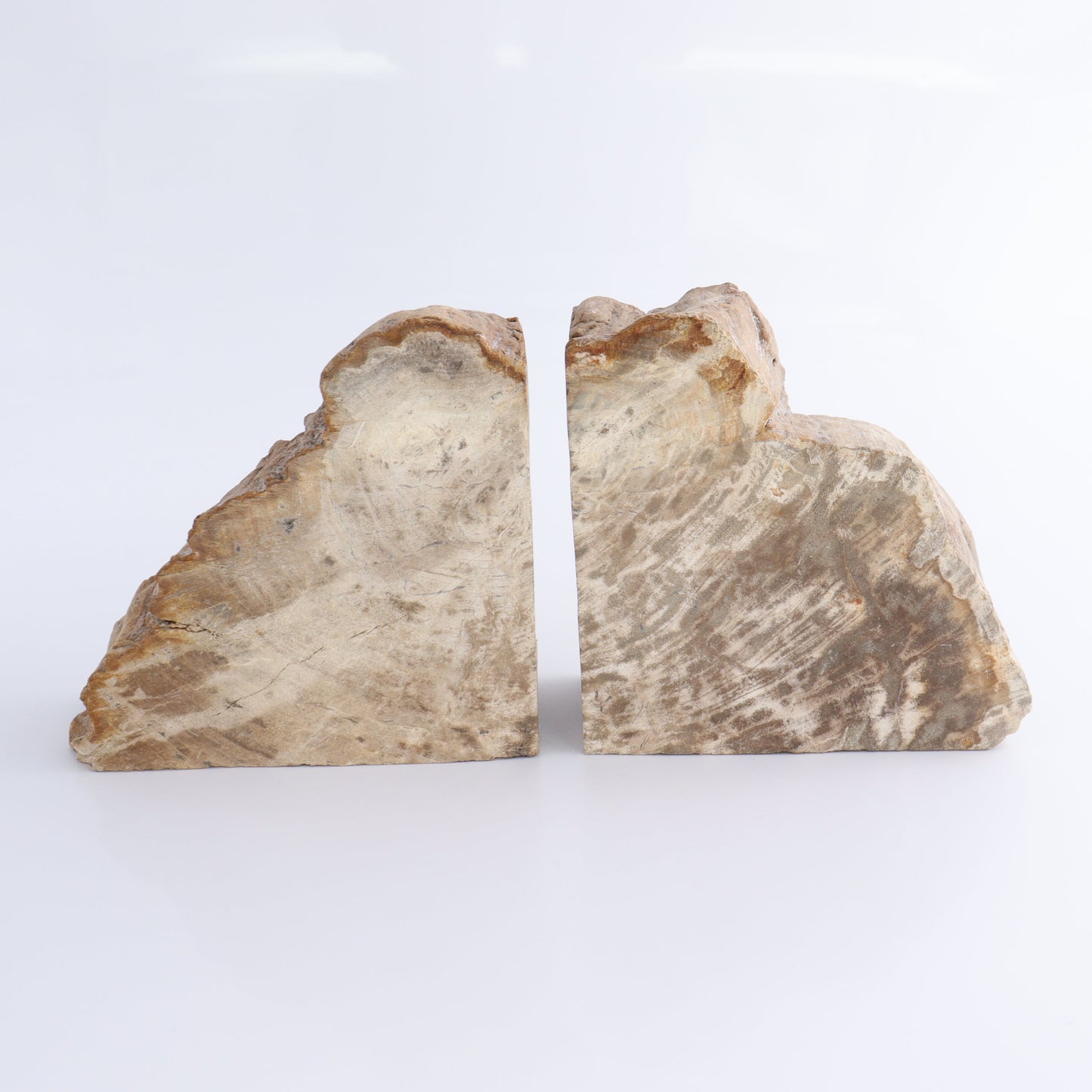 Bookends Petrified Wood - Expert Wholesale and Supplier of Wholesale Crystals & Bulk Gemstones, ["Bookends","Indonesia","Petrified Wood"]